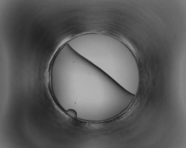X0000088151095200705141046
