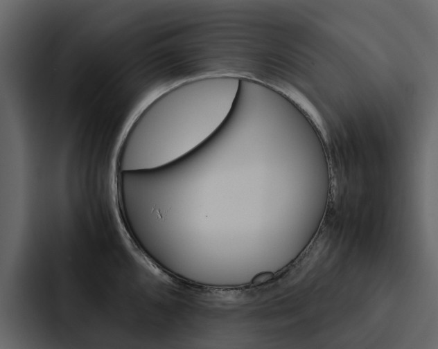 X0000088151096200705141046