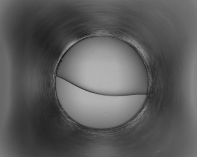 X0000088151097200705141046