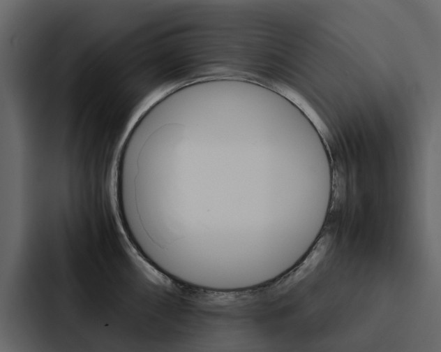 X0000088151098200705141046
