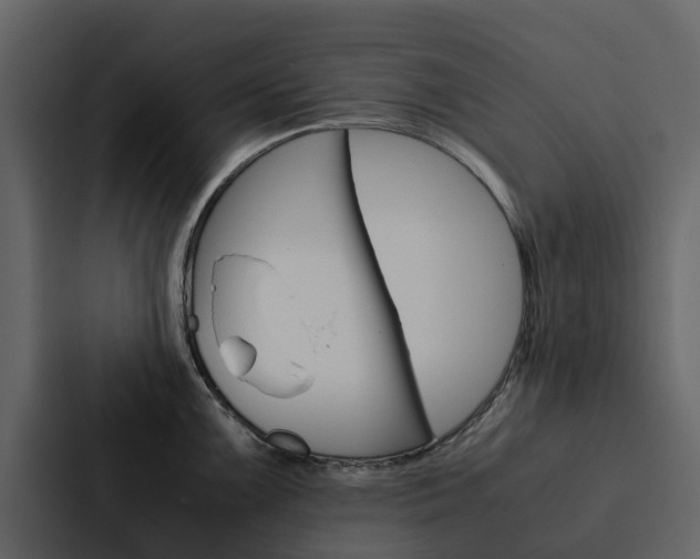 X0000088151099200705141046
