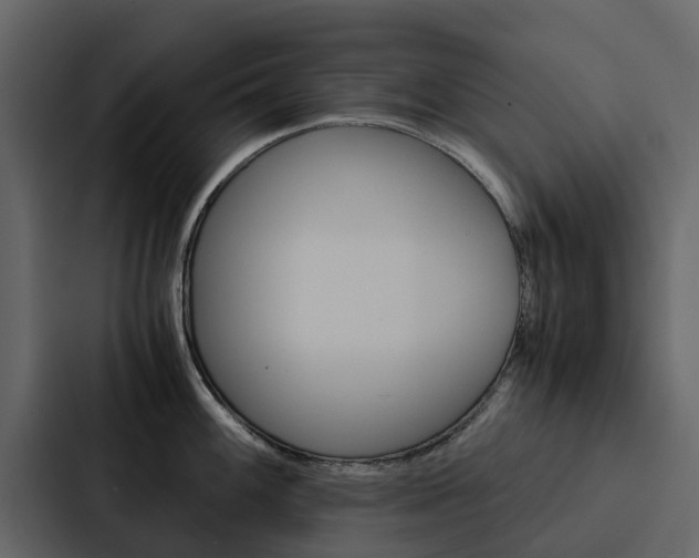 X0000088151100200705141046