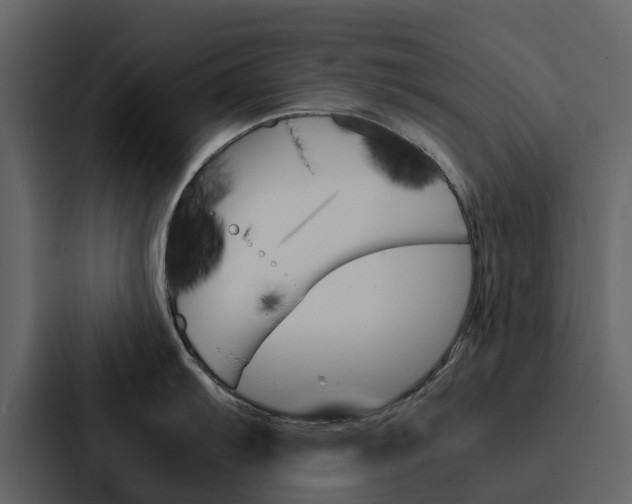 X0000088151103200705141046