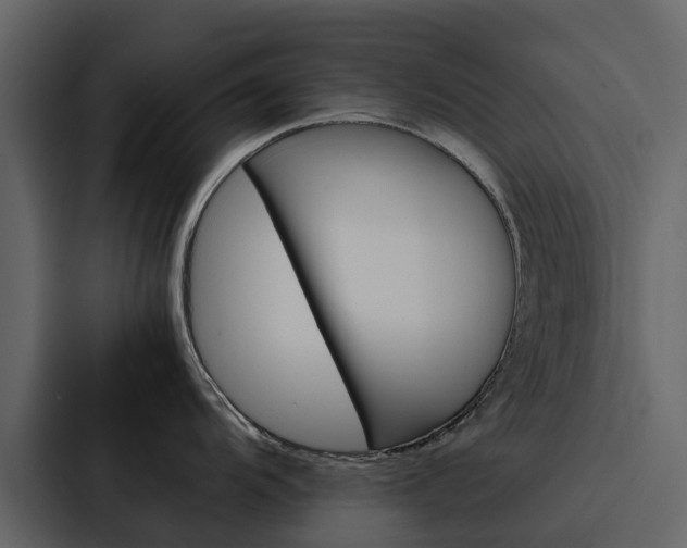 X0000088151104200705141046