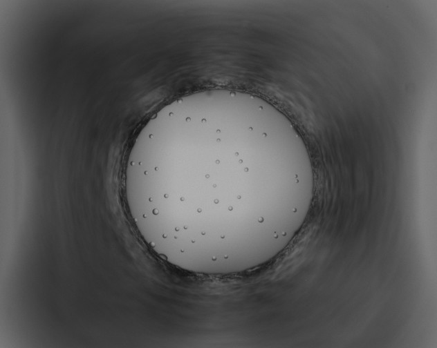 X0000088151105200705141046