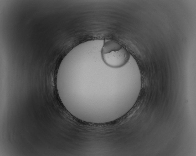 X0000088151106200705141046