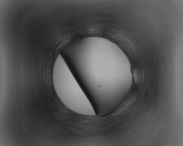 X0000088151107200705141046