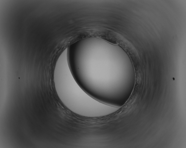 X0000088151108200705141046