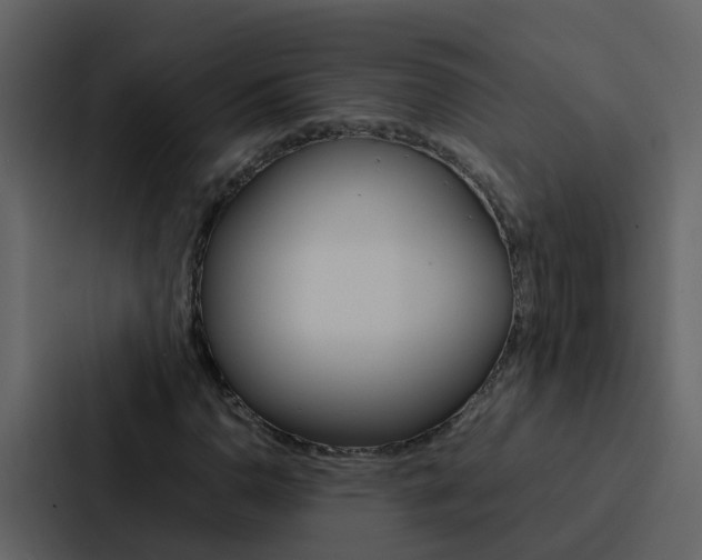 X0000088151110200705141046