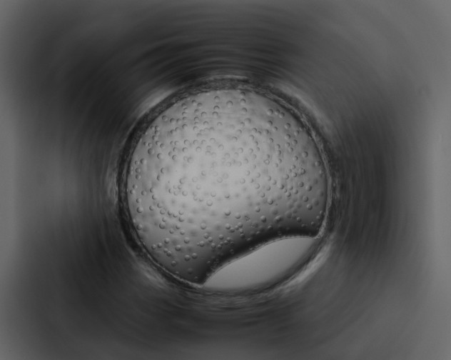 X0000088151113200705141046
