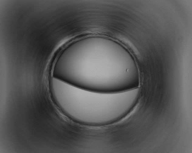 X0000088151114200705141046
