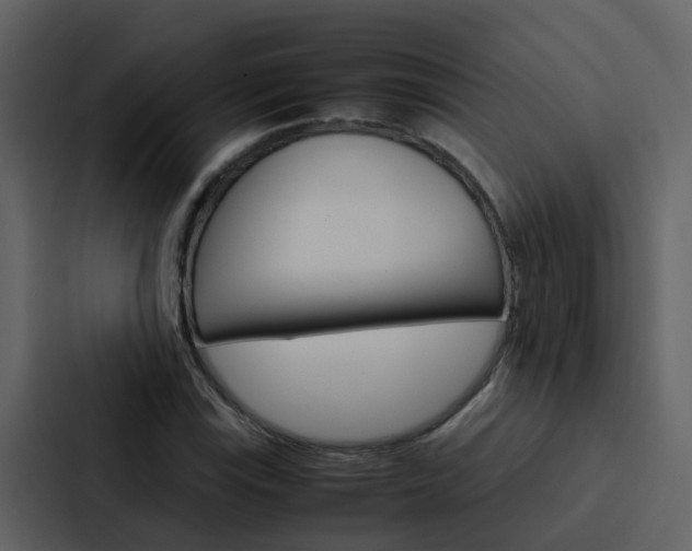 X0000088151115200705141046