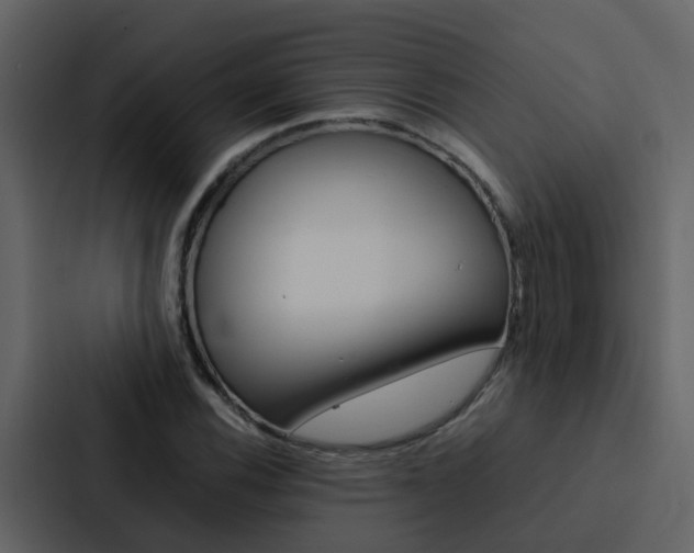 X0000088151116200705141046