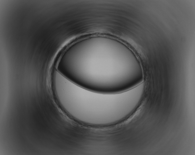 X0000088151118200705141046