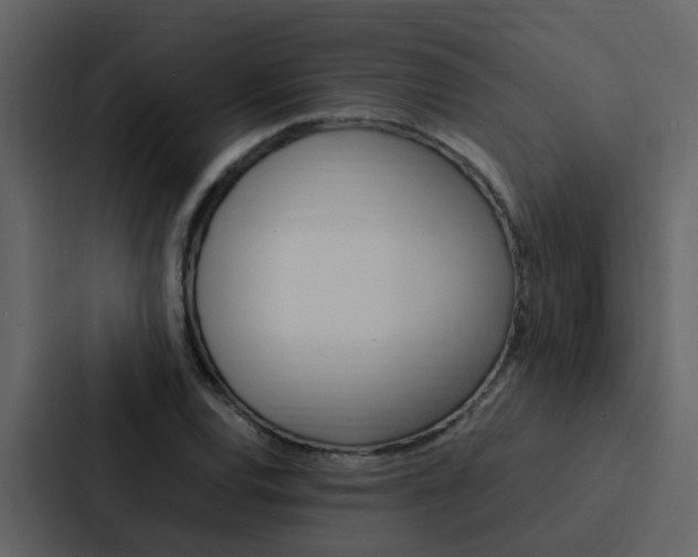 X0000088151120200705141046