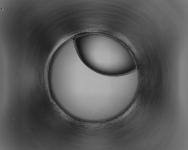 X0000088151122200705141046