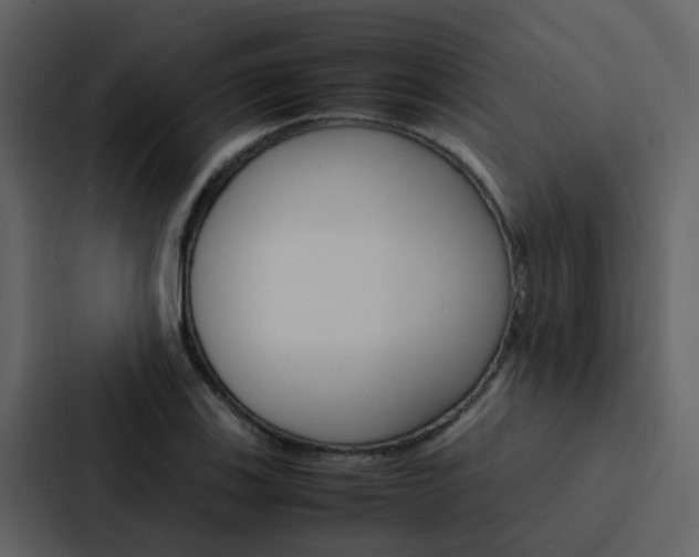 X0000088151123200705141046