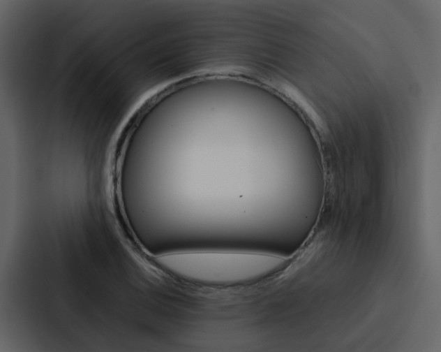 X0000088151124200705141046