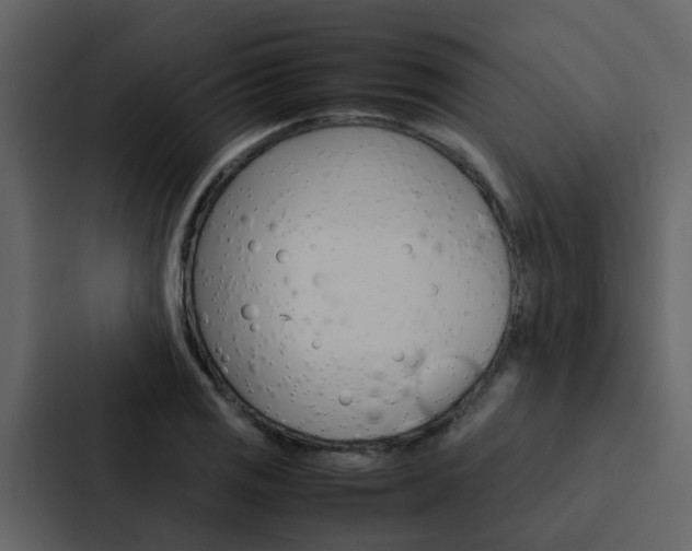 X0000088151125200705141046