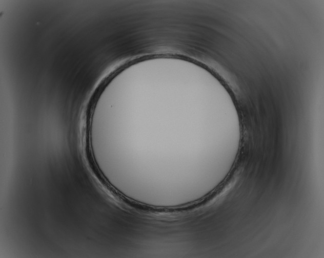 X0000088151126200705141046