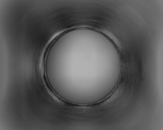 X0000088151127200705141046