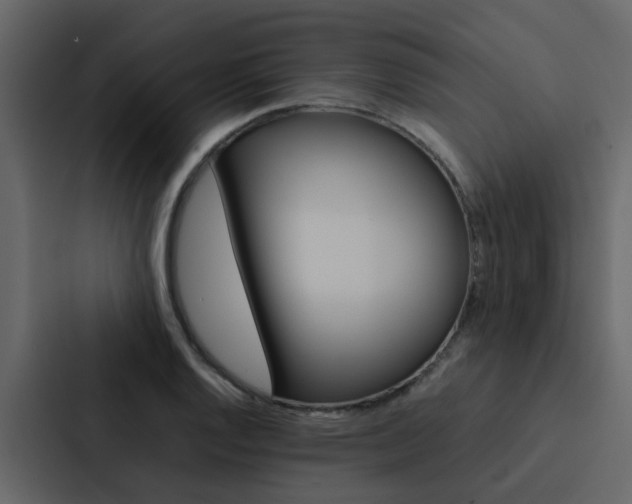 X0000088151128200705141046