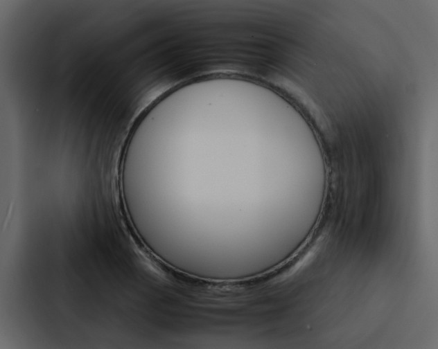 X0000088151129200705141046