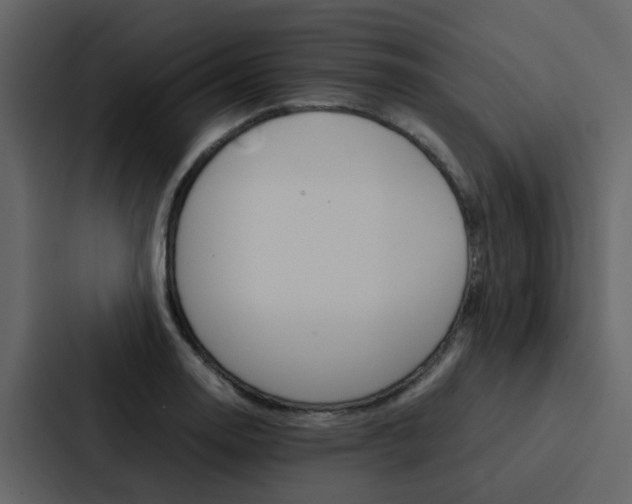 X0000088151130200705141046