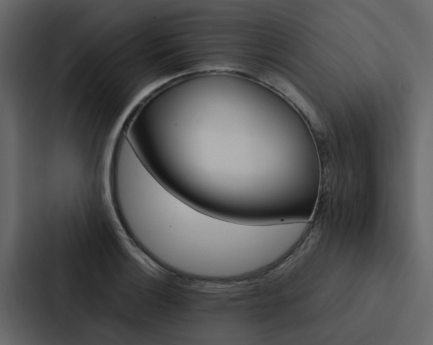X0000088151132200705141046