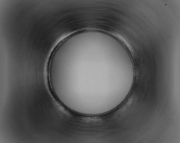 X0000088151133200705141046
