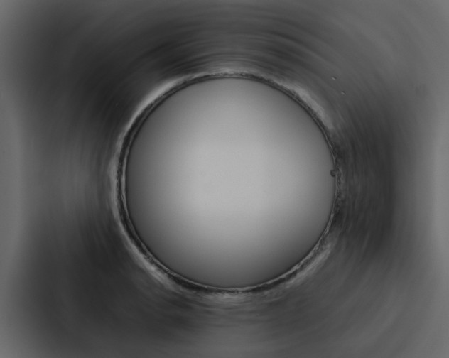 X0000088151134200705141046