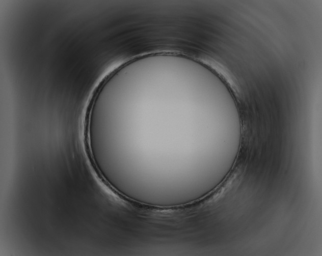X0000088151135200705141046