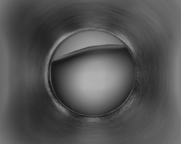 X0000088151136200705141046