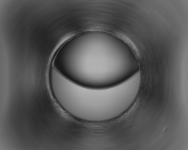 X0000088151138200705141046