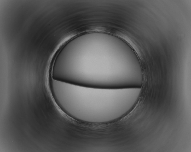 X0000088151139200705141046