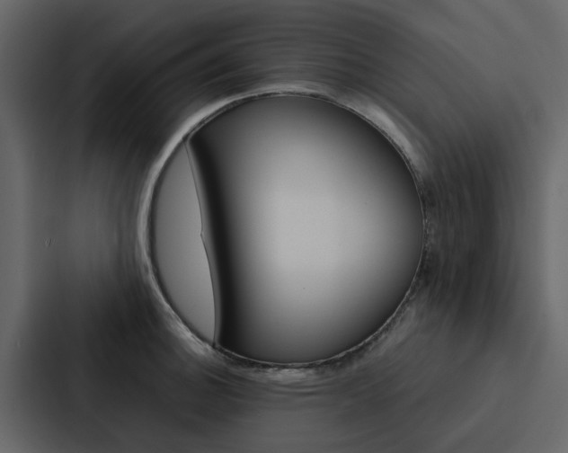 X0000088151140200705141046