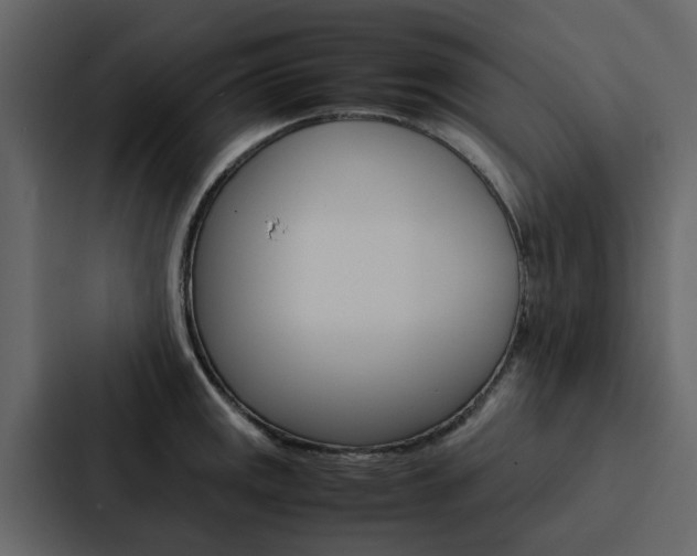 X0000088151141200705141046