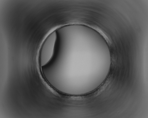 X0000088151142200705141046