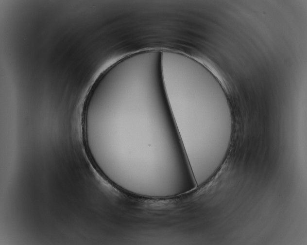 X0000088151143200705141046