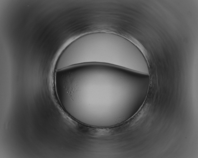 X0000088151144200705141046