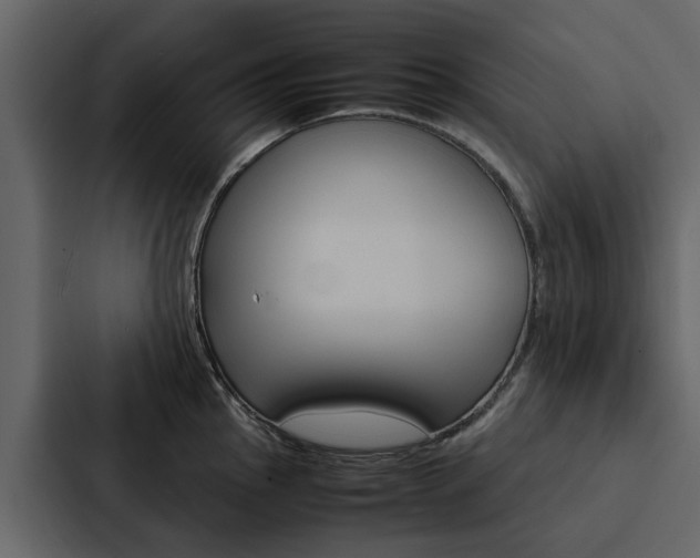 X0000088151145200705141046