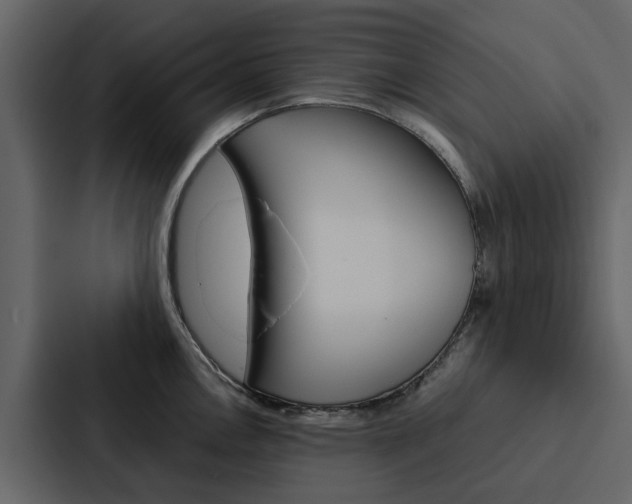 X0000088151146200705141046