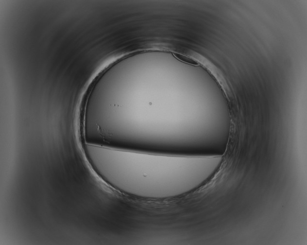 X0000088151147200705141046