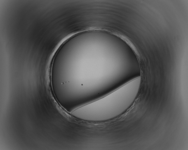 X0000088151148200705141046