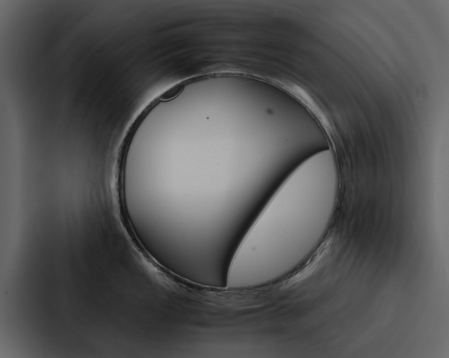 X0000088151149200705141046