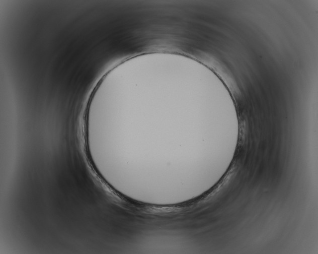 X0000088151150200705141046