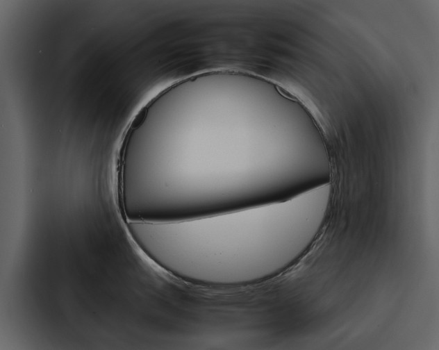 X0000088151151200705141046