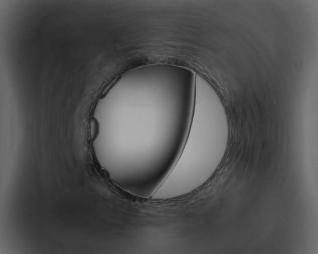 X0000088151153200705141046