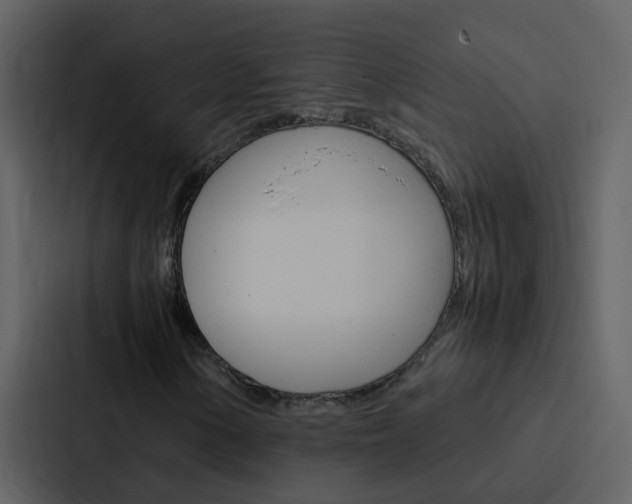 X0000088151154200705141046