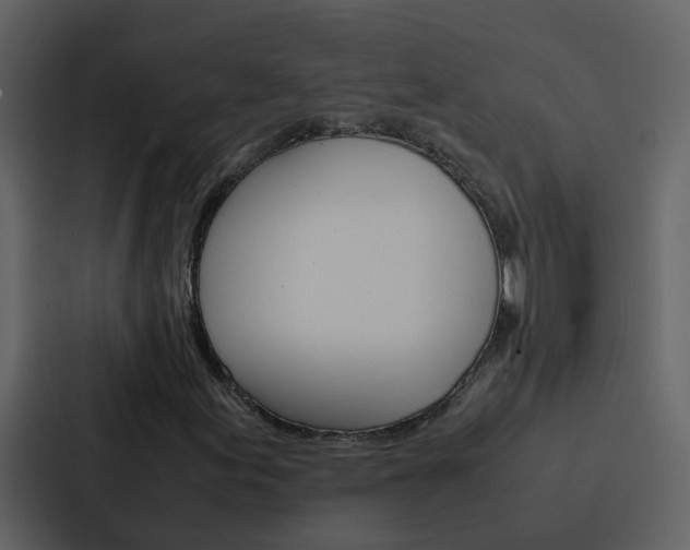 X0000088151155200705141046